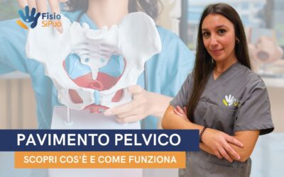 Pavimento Pelvico a Roma: Che Cos’è e Come Funziona